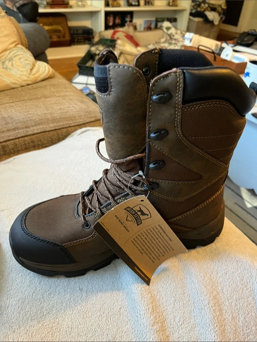 Irish Setter Brown and Black Shoe Box Graphic